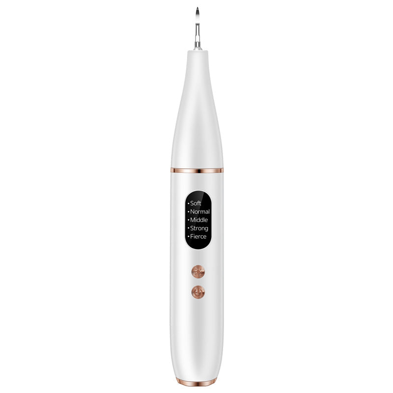 Ultrasonic Tooth Stone Removal Smoke Stain Tartar Dental Instrument