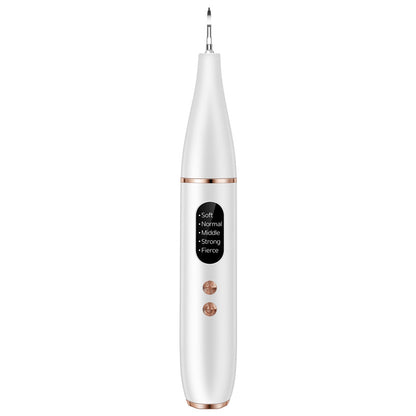 Ultrasonic Tooth Stone Removal Smoke Stain Tartar Dental Instrument
